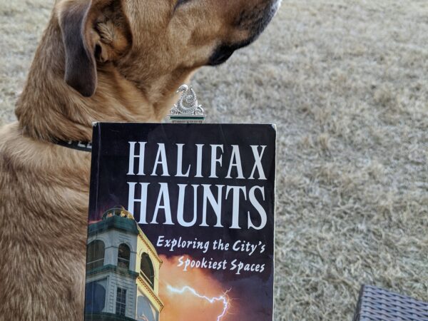 Review of Halifax Haunts by Steve Vernon